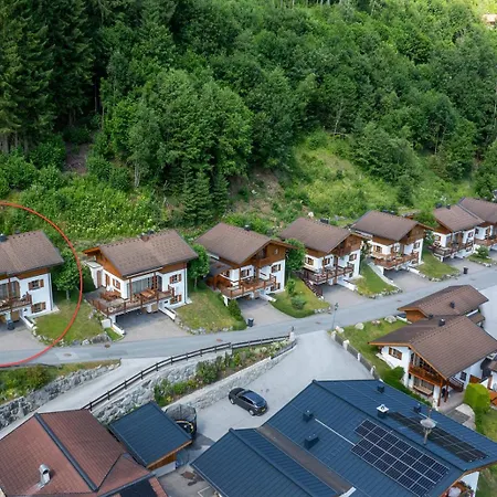 Schoeneben Hohe Tauern Blick Semesterbostad Wald im Pinzgau